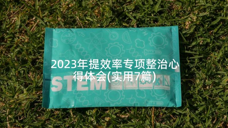 2023年提效率专项整治心得体会(实用7篇)