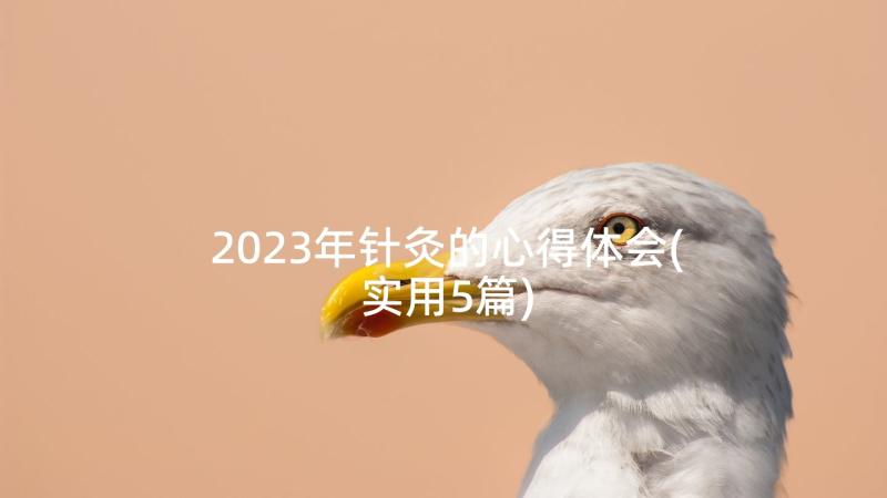 2023年针灸的心得体会(实用5篇)