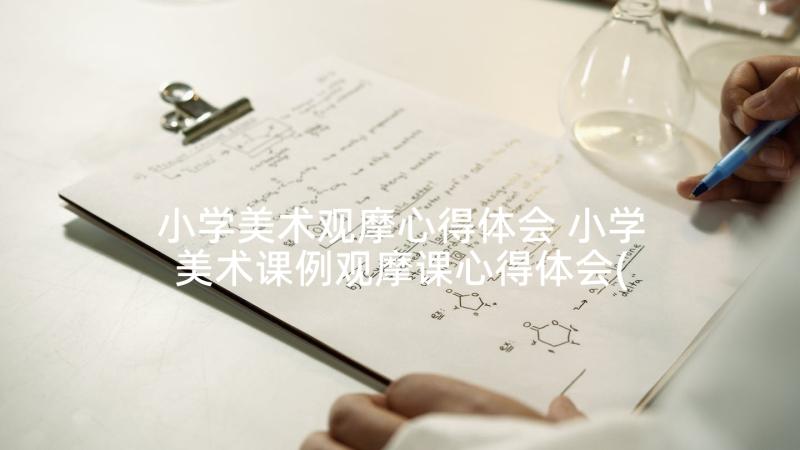 小学美术观摩心得体会 小学美术课例观摩课心得体会(实用5篇)