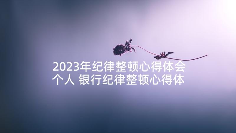 2023年纪律整顿心得体会个人 银行纪律整顿心得体会(优秀5篇)