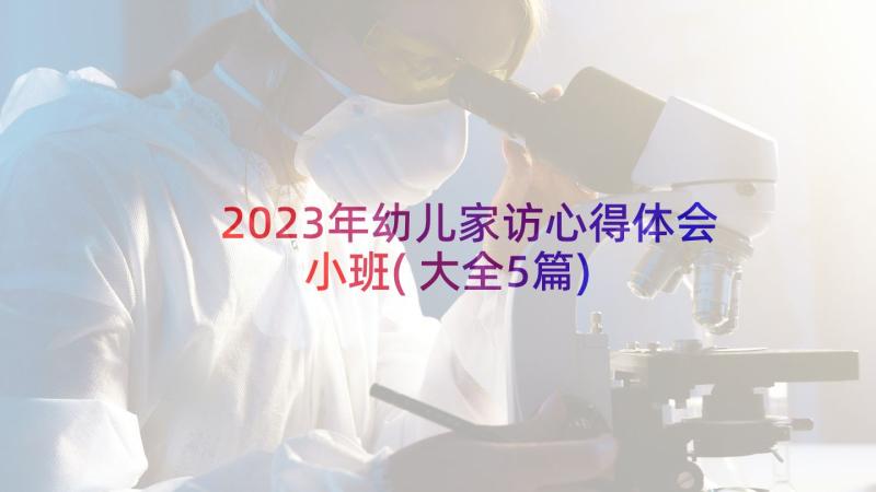 2023年幼儿家访心得体会小班(大全5篇)