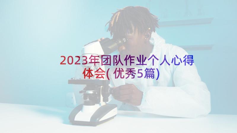 2023年团队作业个人心得体会(优秀5篇)