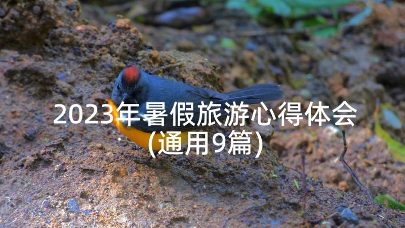 2023年暑假旅游心得体会(通用9篇)