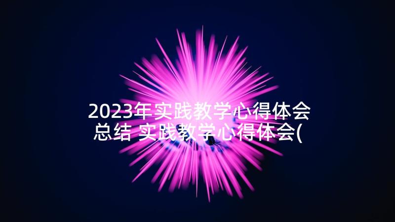 2023年实践教学心得体会总结 实践教学心得体会(优质5篇)