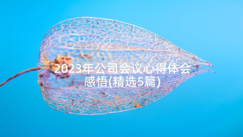 2023年公司会议心得体会感悟(精选5篇)