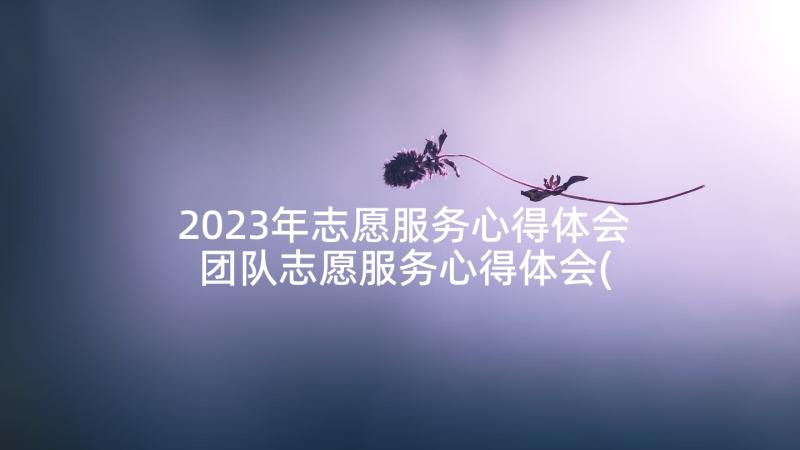 2023年志愿服务心得体会 团队志愿服务心得体会(优质8篇)