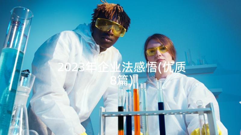 2023年企业法感悟(优质8篇)