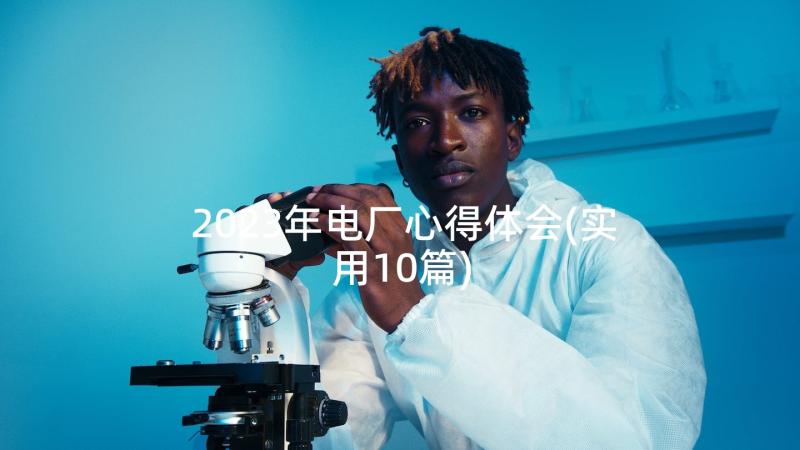 2023年电厂心得体会(实用10篇)