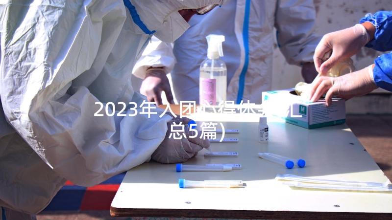 2023年入团心得体会(汇总5篇)