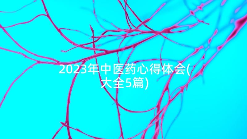 2023年中医药心得体会(大全5篇)