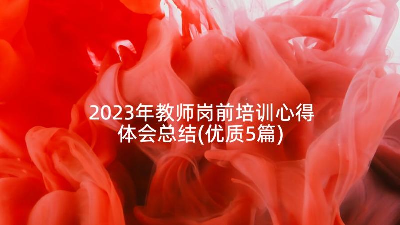 2023年教师岗前培训心得体会总结(优质5篇)