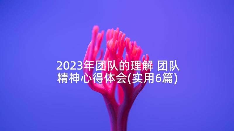 2023年团队的理解 团队精神心得体会(实用6篇)