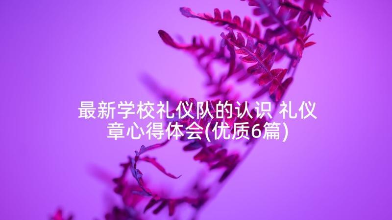 最新学校礼仪队的认识 礼仪章心得体会(优质6篇)