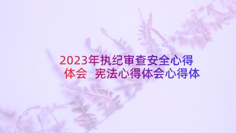 2023年执纪审查安全心得体会 宪法心得体会心得体会(优质8篇)