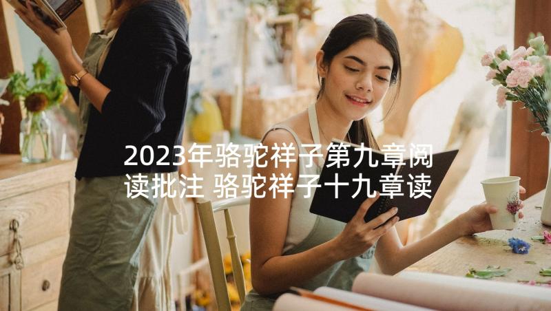 2023年骆驼祥子第九章阅读批注 骆驼祥子十九章读后感(模板5篇)