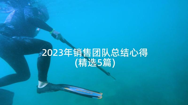 2023年销售团队总结心得(精选5篇)