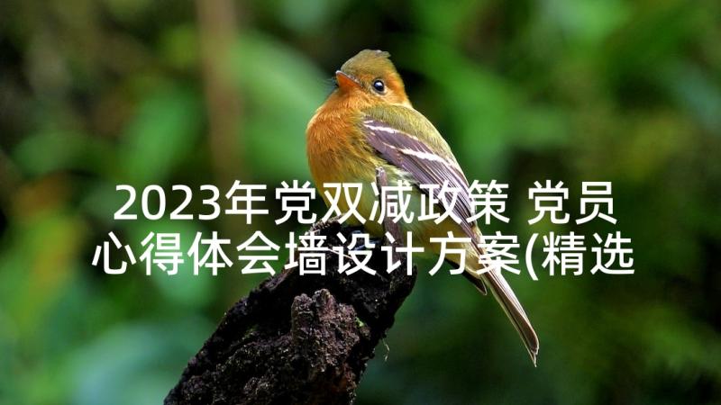 2023年党双减政策 党员心得体会墙设计方案(精选8篇)