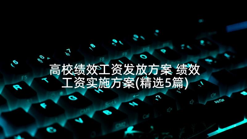 高校绩效工资发放方案 绩效工资实施方案(精选5篇)