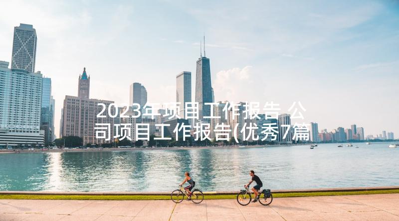 2023年项目工作报告 公司项目工作报告(优秀7篇)