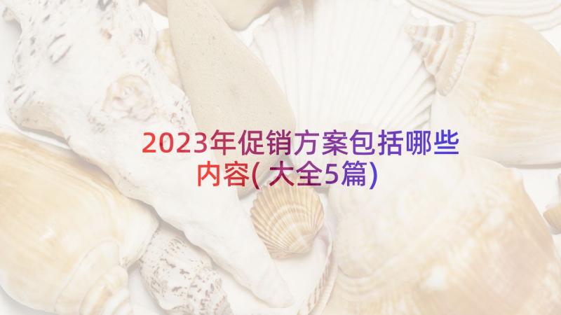 2023年促销方案包括哪些内容(大全5篇)