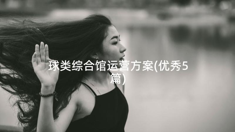 球类综合馆运营方案(优秀5篇)