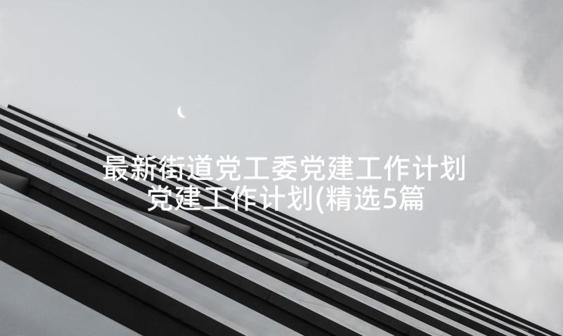 最新街道党工委党建工作计划 党建工作计划(精选5篇)