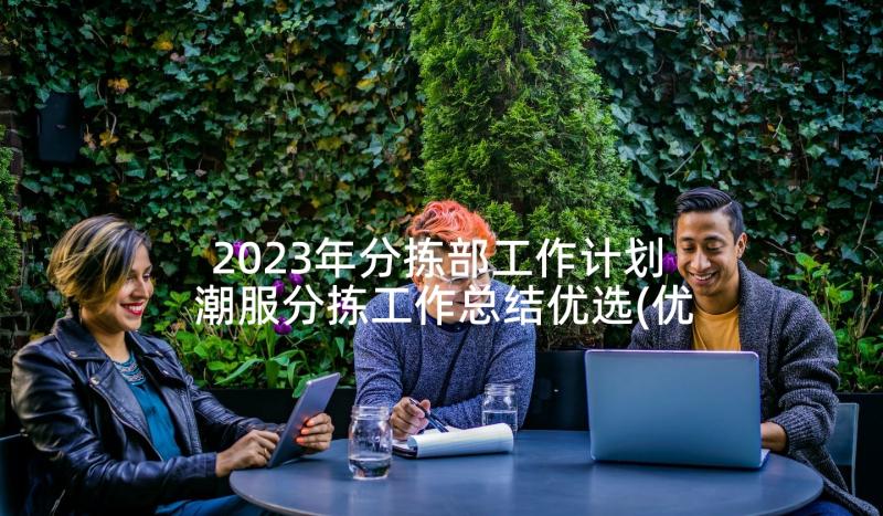 2023年分拣部工作计划 潮服分拣工作总结优选(优秀5篇)