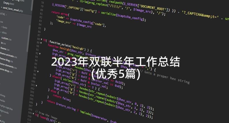 2023年双联半年工作总结(优秀5篇)