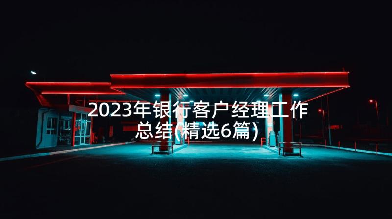 2023年银行客户经理工作总结(精选6篇)