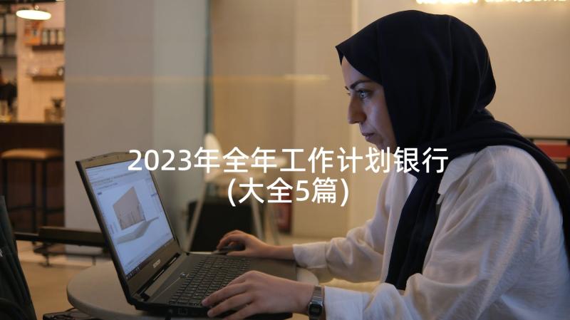 2023年全年工作计划银行(大全5篇)