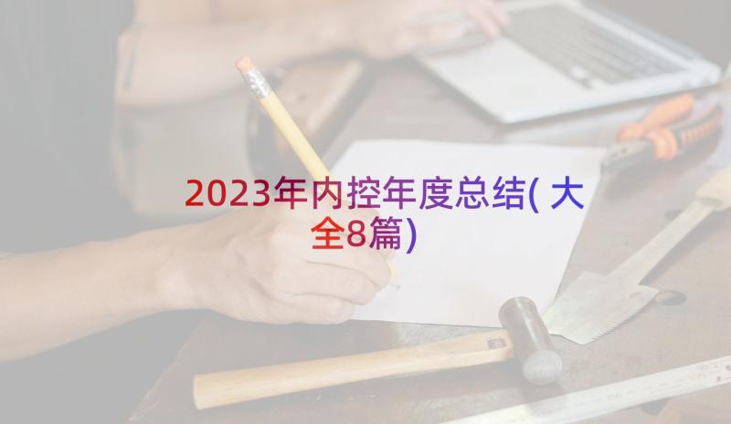 2023年内控年度总结(大全8篇)