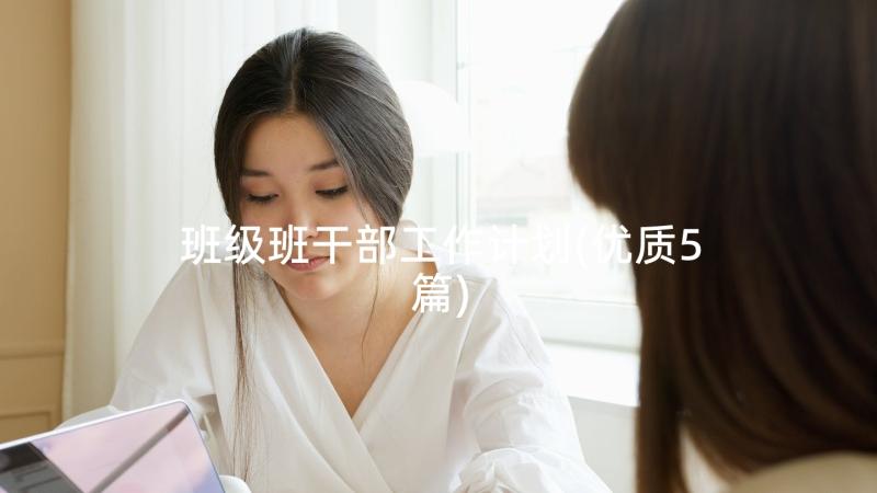 班级班干部工作计划(优质5篇)