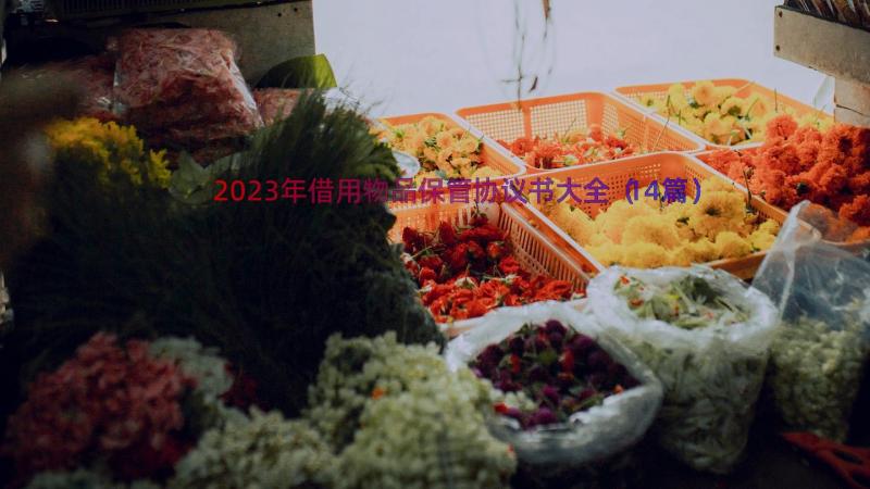 2023年借用物品保管协议书大全（14篇）