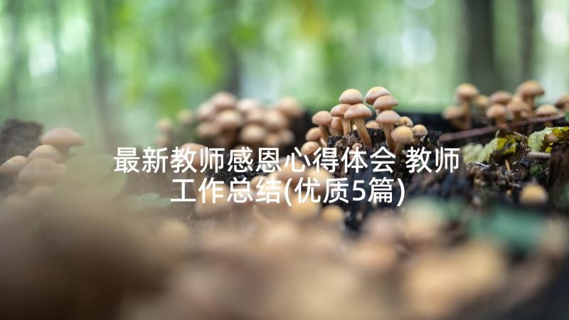 最新教师感恩心得体会 教师工作总结(优质5篇)