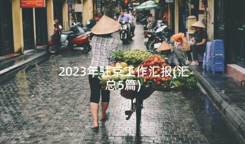 2023年驻京工作汇报(汇总5篇)