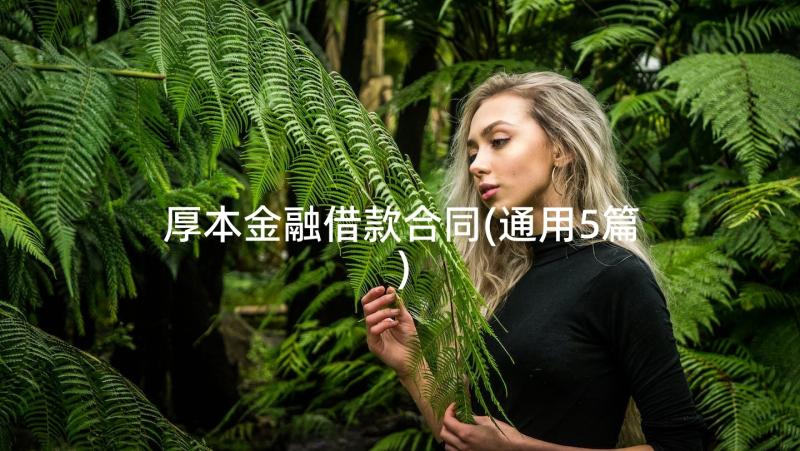 厚本金融借款合同(通用5篇)