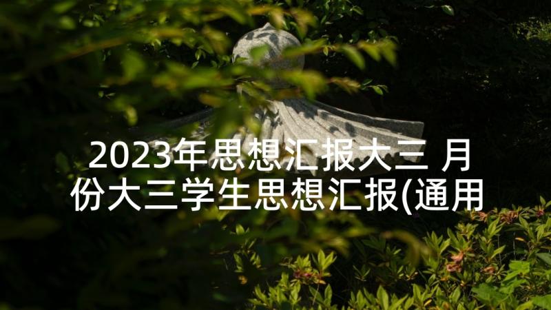 2023年思想汇报大三 月份大三学生思想汇报(通用5篇)