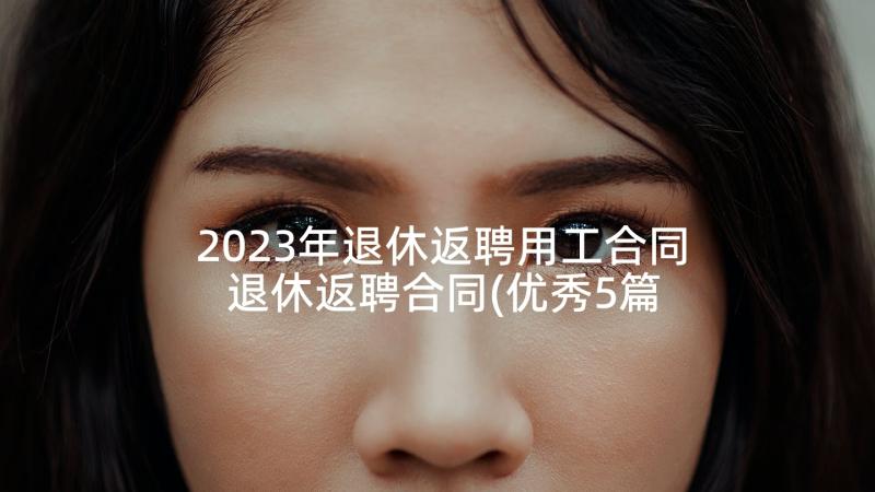 2023年退休返聘用工合同 退休返聘合同(优秀5篇)