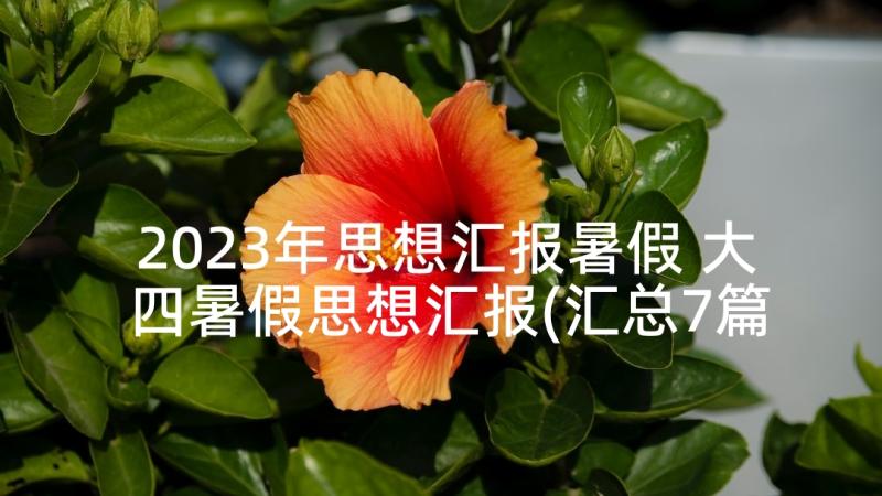 2023年思想汇报暑假 大四暑假思想汇报(汇总7篇)