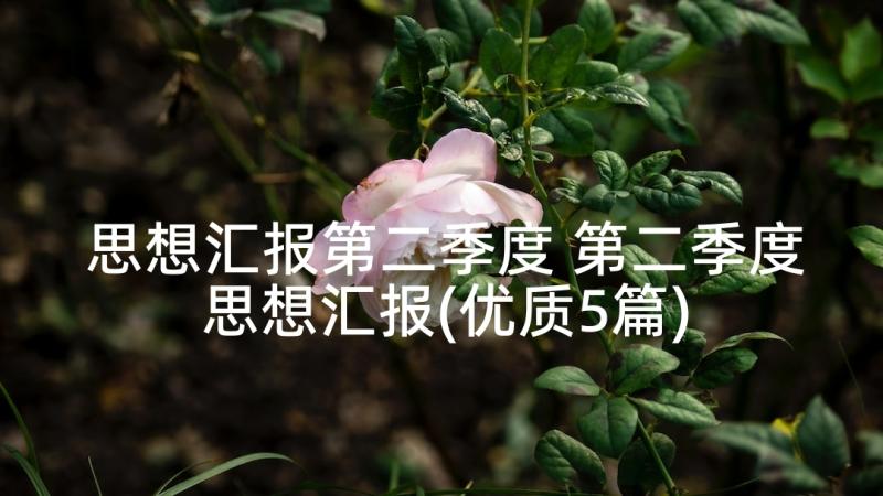 小学教师师德师风承诺书个人承诺(优质10篇)