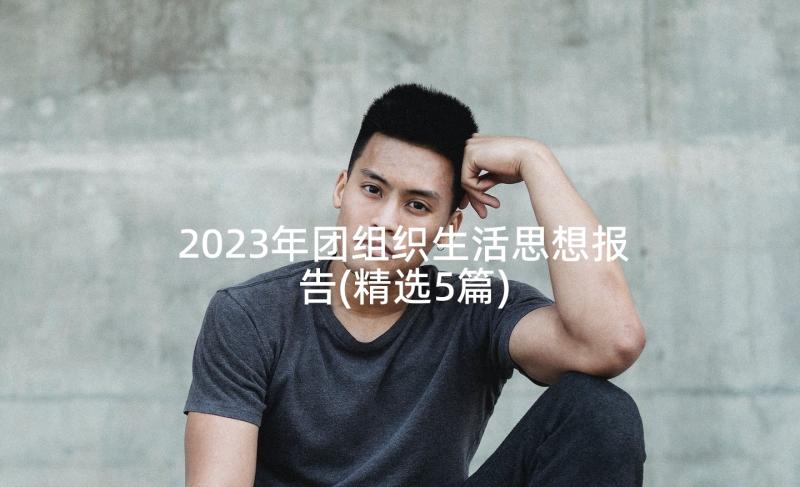 2023年团组织生活思想报告(精选5篇)