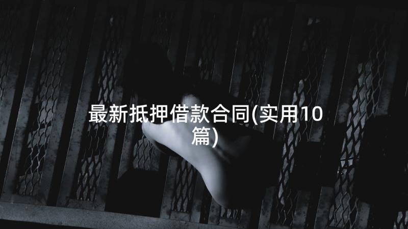 最新抵押借款合同(实用10篇)