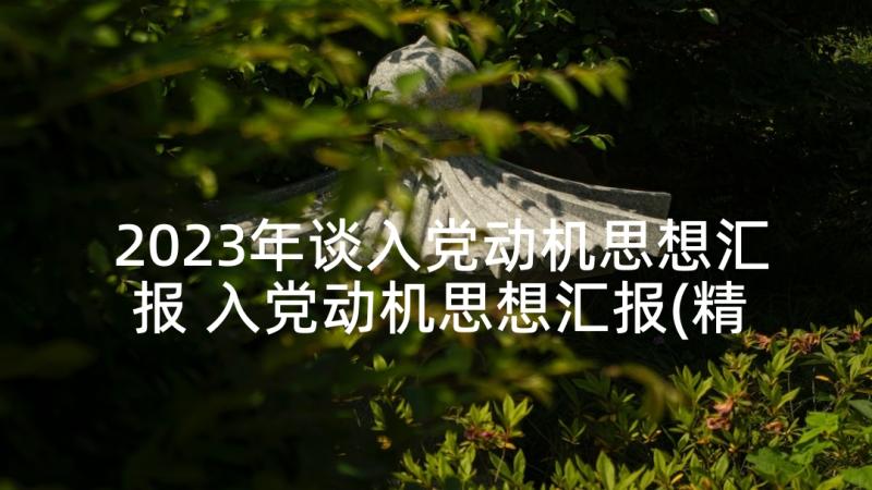 2023年谈入党动机思想汇报 入党动机思想汇报(精选5篇)