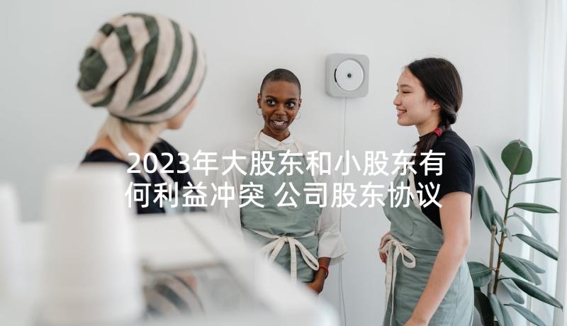 2023年大股东和小股东有何利益冲突 公司股东协议书(精选9篇)