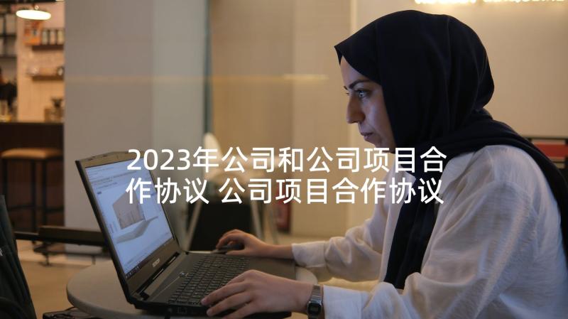 2023年公司和公司项目合作协议 公司项目合作协议书(汇总8篇)