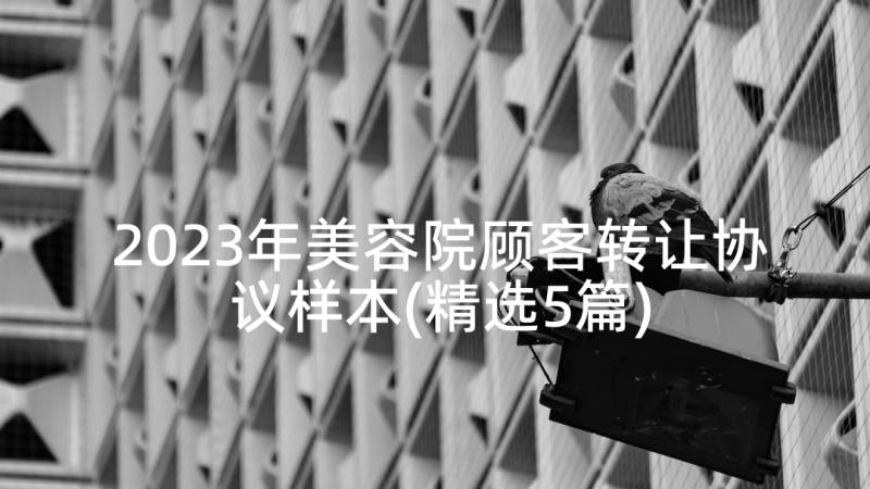 2023年美容院顾客转让协议样本(精选5篇)