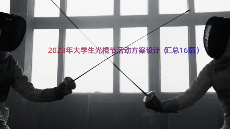 2023年大学生光棍节活动方案设计（汇总16篇）