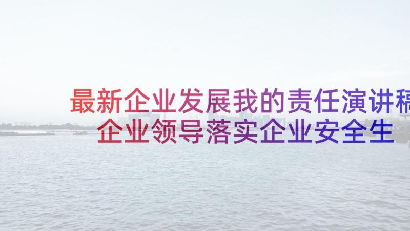 最新企业发展我的责任演讲稿 企业领导落实企业安全生产主体责任演讲稿(优秀5篇)