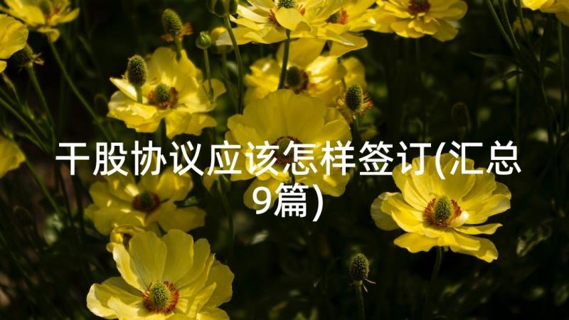 干股协议应该怎样签订(汇总9篇)