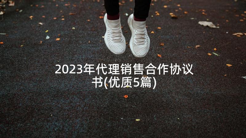 2023年代理销售合作协议书(优质5篇)